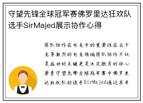 守望先锋全球冠军赛佛罗里达狂欢队选手SirMajed展示协作心得