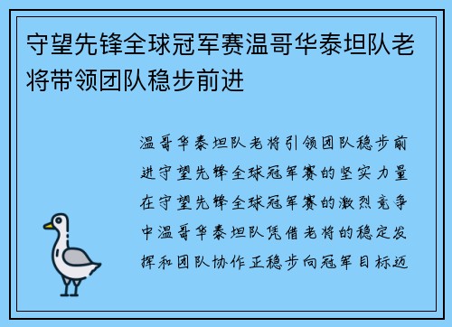 守望先锋全球冠军赛温哥华泰坦队老将带领团队稳步前进