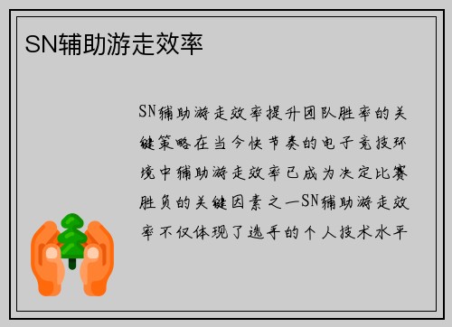 SN辅助游走效率