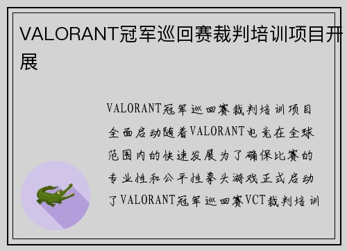 VALORANT冠军巡回赛裁判培训项目开展
